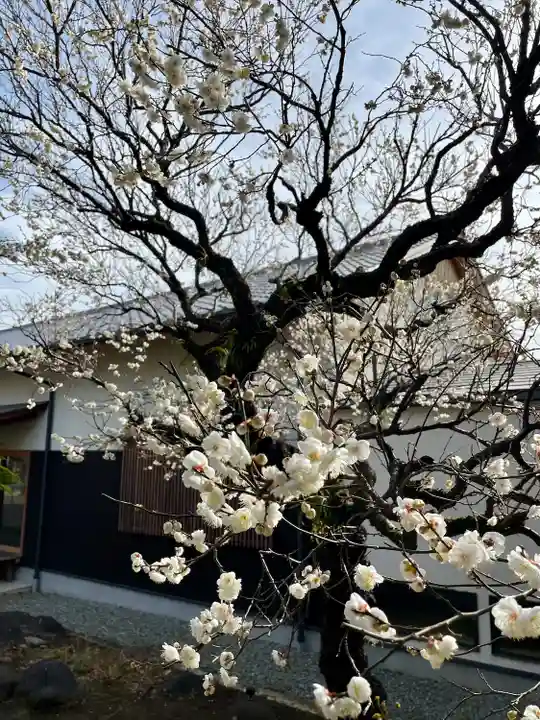 福泉寺(神奈川県)