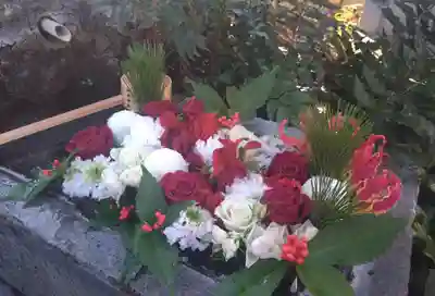 本郷氷川神社(東京都)