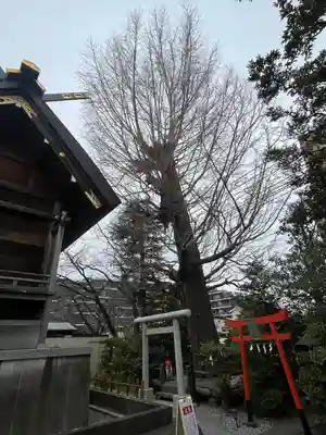 朝日氷川神社(埼玉県)