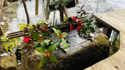 宝泉院(京都府)