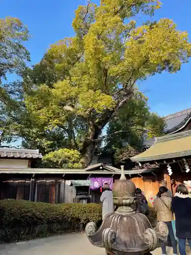 石切劔箭神社(大阪府)