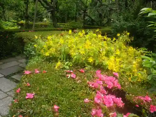 瑞泉寺の庭園