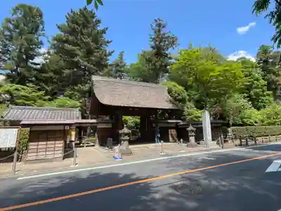 平林寺(埼玉県)