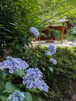 阿佐ヶ谷神明宮(東京都)