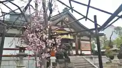 田中神社の自然