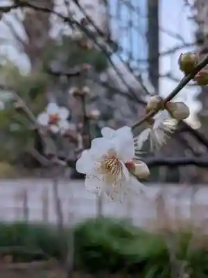 成子天神社(東京都)