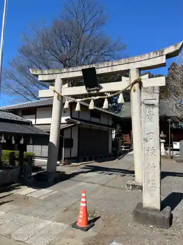 日枝神社の{uncategorized: "未分類", other: "その他", undefined: "問題あり", building: "その他建物", grave: "お墓", sacred_gate: "鳥居", guardian: "狛犬", statue: "像", buddha: "仏像", history: "歴史", nature: "自然", garden: "庭園", animal: "動物", pagoda: "塔", temizu: "手水舎", mountain_gate: "山門・神門", sanctuary: "本殿・本堂", subordinate: "末社・摂社", art: "芸術", scenery: "景色", jizo: "地蔵", ema: "絵馬", goshuin: "御朱印", omikuji: "おみくじ", items: "授与品その他", amulet: "お守り", goshuincho: "御朱印帳", eats: "食事", festival: "お祭り", votive_dance: "神楽", shichigosan: "七五三参", wedding: "結婚式", experience: "体験その他", initially: "初詣", around: "周辺", anti_infection: "感染症対策"}