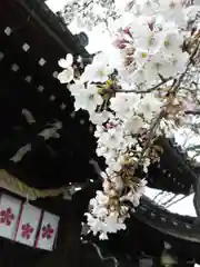 道明寺天満宮の建物その他