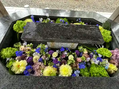 新琴似神社の{uncategorized: "未分類", other: "その他", undefined: "問題あり", building: "その他建物", grave: "お墓", sacred_gate: "鳥居", guardian: "狛犬", statue: "像", buddha: "仏像", history: "歴史", nature: "自然", garden: "庭園", animal: "動物", pagoda: "塔", temizu: "手水舎", mountain_gate: "山門・神門", sanctuary: "本殿・本堂", subordinate: "末社・摂社", art: "芸術", scenery: "景色", jizo: "地蔵", ema: "絵馬", goshuin: "御朱印", omikuji: "おみくじ", items: "授与品その他", amulet: "お守り", goshuincho: "御朱印帳", eats: "食事", festival: "お祭り", votive_dance: "神楽", shichigosan: "七五三参", wedding: "結婚式", experience: "体験その他", initially: "初詣", around: "周辺", anti_infection: "感染症対策"}