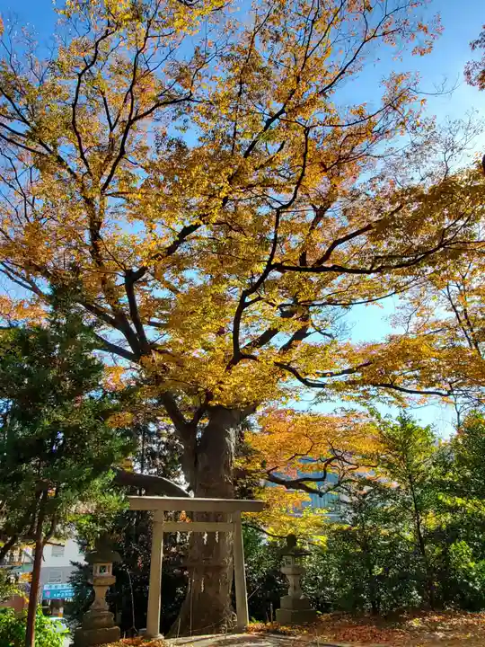 愛宕神社(福島県)