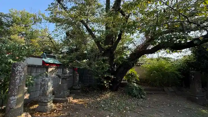 光明寺(神奈川県)