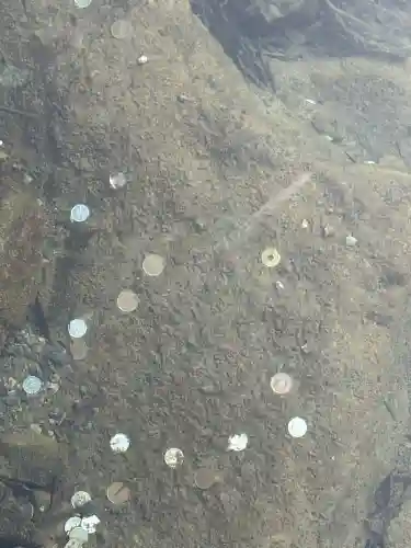 伊勢神宮内宮（皇大神宮）の{uncategorized: "未分類", other: "その他", undefined: "問題あり", building: "その他建物", grave: "お墓", sacred_gate: "鳥居", guardian: "狛犬", statue: "像", buddha: "仏像", history: "歴史", nature: "自然", garden: "庭園", animal: "動物", pagoda: "塔", temizu: "手水舎", mountain_gate: "山門・神門", sanctuary: "本殿・本堂", subordinate: "末社・摂社", art: "芸術", scenery: "景色", jizo: "地蔵", ema: "絵馬", goshuin: "御朱印", omikuji: "おみくじ", items: "授与品その他", amulet: "お守り", goshuincho: "御朱印帳", eats: "食事", festival: "お祭り", votive_dance: "神楽", shichigosan: "七五三参", wedding: "結婚式", experience: "体験その他", initially: "初詣", around: "周辺", anti_infection: "感染症対策"}