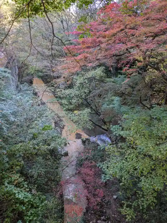 伊香保神社の自然