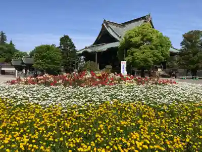 成田山新勝寺の{uncategorized: "未分類", other: "その他", undefined: "問題あり", building: "その他建物", grave: "お墓", sacred_gate: "鳥居", guardian: "狛犬", statue: "像", buddha: "仏像", history: "歴史", nature: "自然", garden: "庭園", animal: "動物", pagoda: "塔", temizu: "手水舎", mountain_gate: "山門・神門", sanctuary: "本殿・本堂", subordinate: "末社・摂社", art: "芸術", scenery: "景色", jizo: "地蔵", ema: "絵馬", goshuin: "御朱印", omikuji: "おみくじ", items: "授与品その他", amulet: "お守り", goshuincho: "御朱印帳", eats: "食事", festival: "お祭り", votive_dance: "神楽", shichigosan: "七五三参", wedding: "結婚式", experience: "体験その他", initially: "初詣", around: "周辺", anti_infection: "感染症対策"}