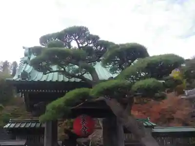 長谷寺の山門・神門