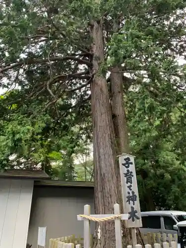 新倉富士浅間神社の自然