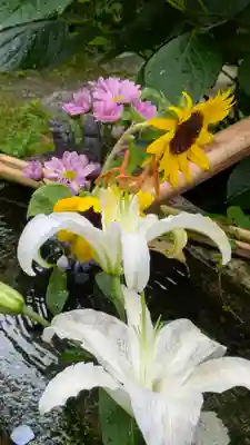 宝蔵寺(京都府)