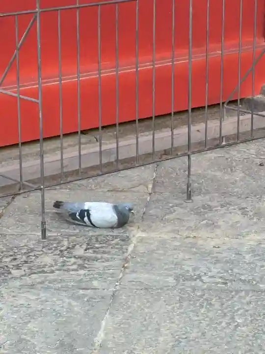 根津神社(東京都)
