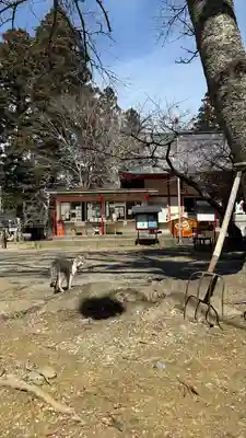正一位 若草稲荷神社(宮城県)