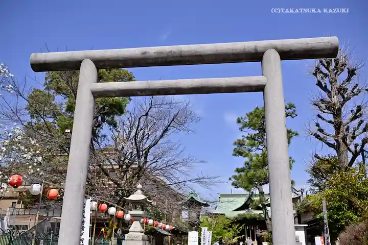 桜神宮の鳥居