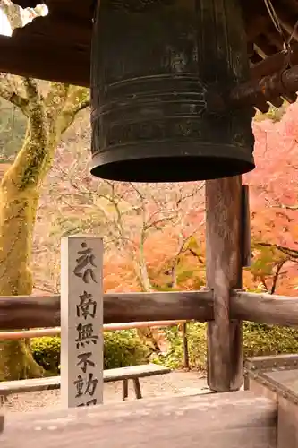 善峯寺(京都府)