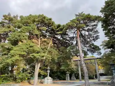 岩手護國神社(岩手県)