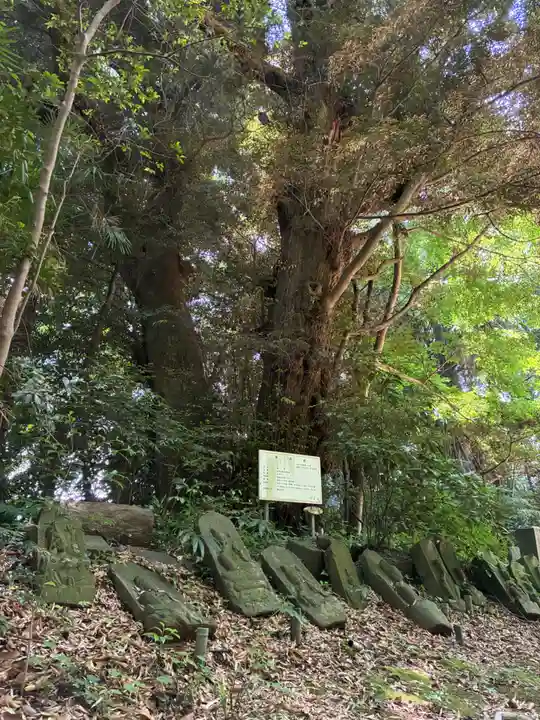 正福寺(千葉県)