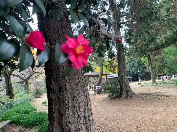 大東神社の自然