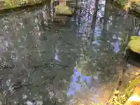 笠置神社(岐阜県)