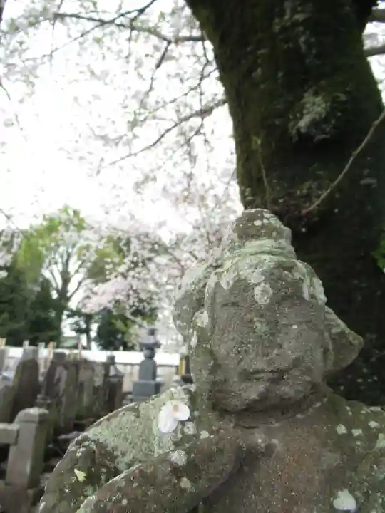 真光寺(千葉県)
