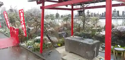 泉竜寺(乙女不動尊)の手水舎