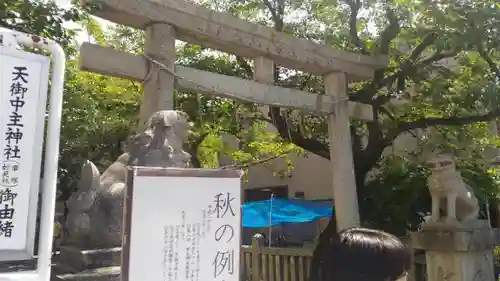 天御中主神社の鳥居