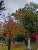 鷹栖神社(北海道)