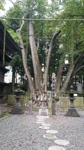 小室浅間神社の庭園