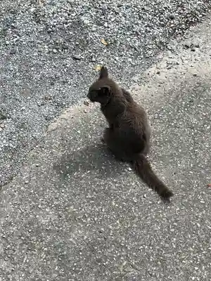 佐野赤城神社(栃木県)