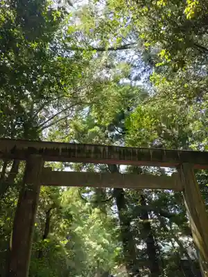 伊勢神宮外宮（豊受大神宮）(三重県)