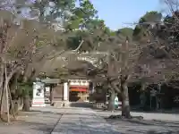 三嶋大社(静岡県)