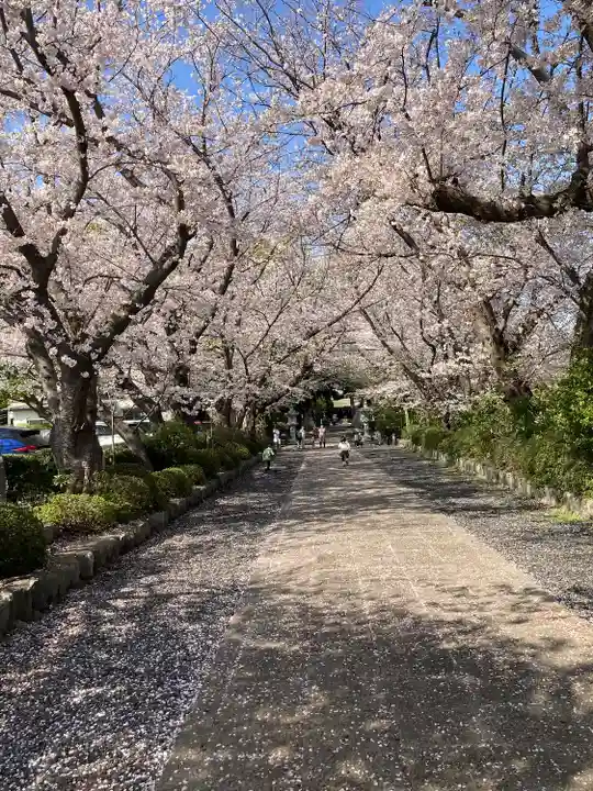 前鳥神社(神奈川県)