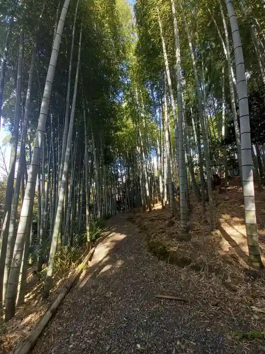 高台寺(高台寿聖禅寺・高臺寺)の周辺