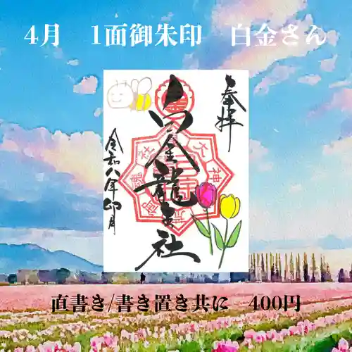 若宮神明社の御朱印