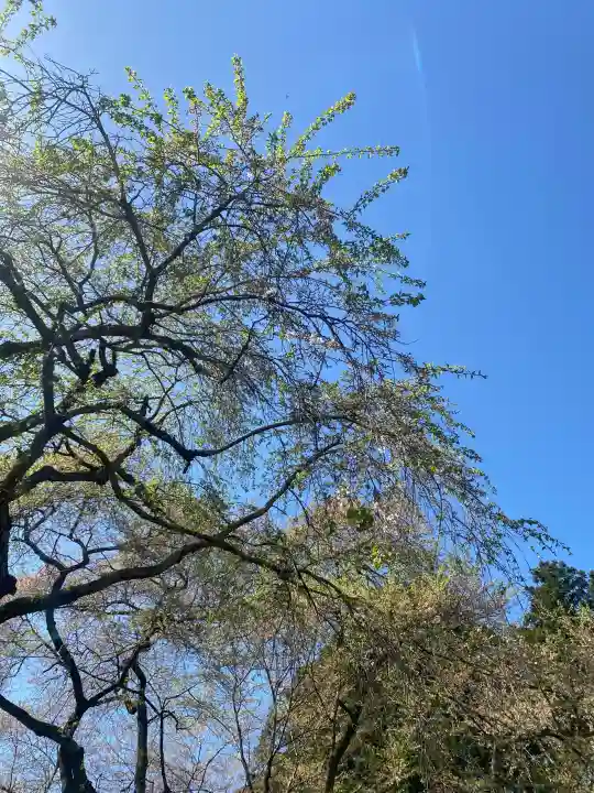 光丸山 法輪寺の{uncategorized: "未分類", other: "その他", undefined: "問題あり", building: "その他建物", grave: "お墓", sacred_gate: "鳥居", guardian: "狛犬", statue: "像", buddha: "仏像", history: "歴史", nature: "自然", garden: "庭園", animal: "動物", pagoda: "塔", temizu: "手水舎", mountain_gate: "山門・神門", sanctuary: "本殿・本堂", subordinate: "末社・摂社", art: "芸術", scenery: "景色", jizo: "地蔵", ema: "絵馬", goshuin: "御朱印", omikuji: "おみくじ", items: "授与品その他", amulet: "お守り", goshuincho: "御朱印帳", eats: "食事", festival: "お祭り", votive_dance: "神楽", shichigosan: "七五三参", wedding: "結婚式", experience: "体験その他", initially: "初詣", around: "周辺", anti_infection: "感染症対策"}