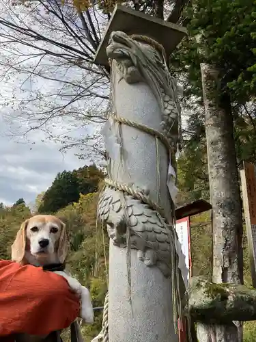 高龍神社(新潟県)