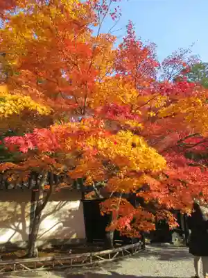 二尊院(京都府)