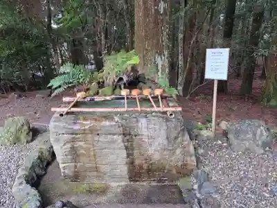 霧島神宮(鹿児島県)