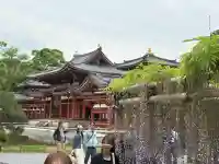 平等院の{uncategorized: "未分類", other: "その他", undefined: "問題あり", building: "その他建物", grave: "お墓", sacred_gate: "鳥居", guardian: "狛犬", statue: "像", buddha: "仏像", history: "歴史", nature: "自然", garden: "庭園", animal: "動物", pagoda: "塔", temizu: "手水舎", mountain_gate: "山門・神門", sanctuary: "本殿・本堂", subordinate: "末社・摂社", art: "芸術", scenery: "景色", jizo: "地蔵", ema: "絵馬", goshuin: "御朱印", omikuji: "おみくじ", items: "授与品その他", amulet: "お守り", goshuincho: "御朱印帳", eats: "食事", festival: "お祭り", votive_dance: "神楽", shichigosan: "七五三参", wedding: "結婚式", experience: "体験その他", initially: "初詣", around: "周辺", anti_infection: "感染症対策"}