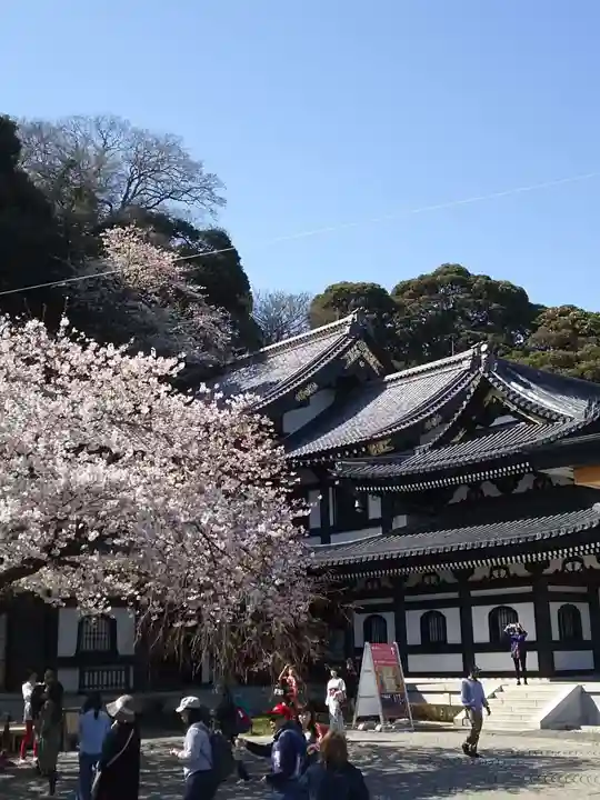 長谷寺の本殿・本堂