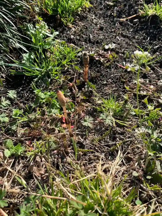 慈恩寺(埼玉県)