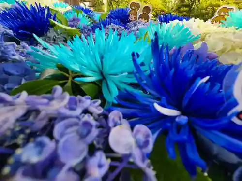 豊景神社の自然