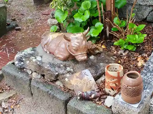 天津神社の狛犬