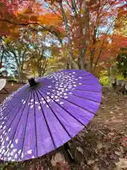 土津神社｜こどもと出世の神さま(福島県)